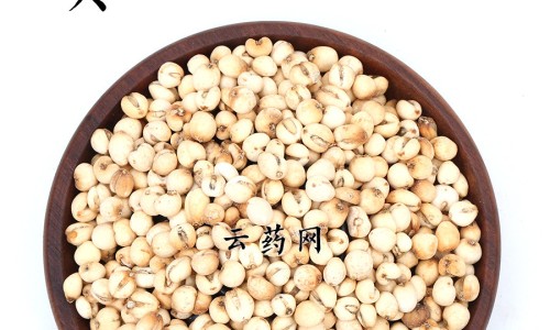 权威妇康净抑菌凝胶功效平台,分享专业d女郎抑菌凝胶的功效知识_抑菌凝胶功效网